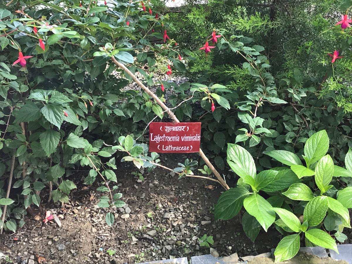 Welcomheritage Ashdale Nainital Exterior photo